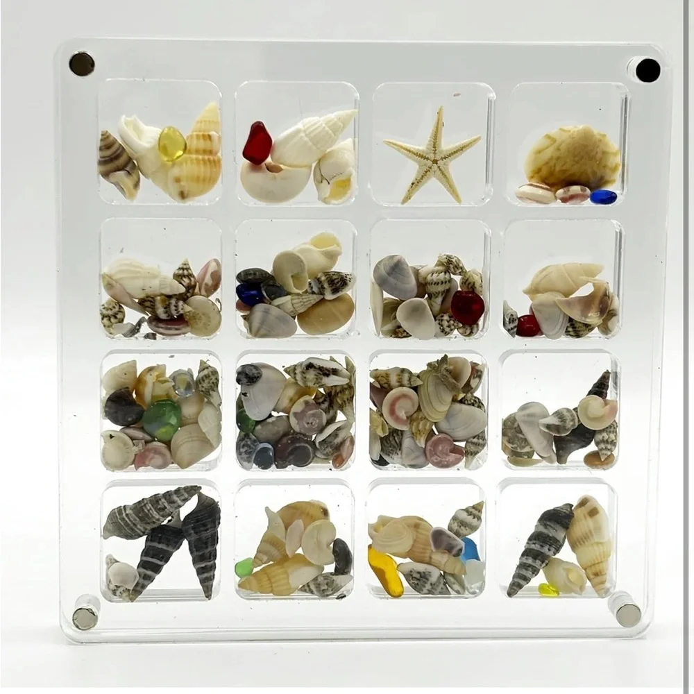 Clear Resin Shell Display